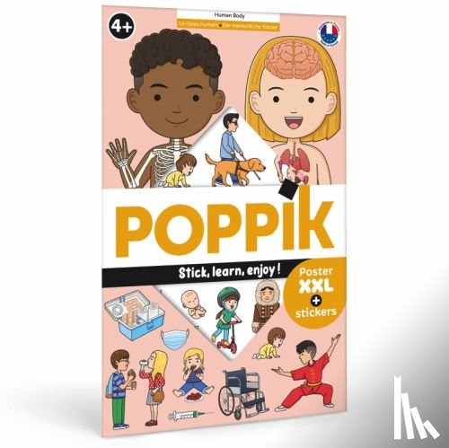  - Posters discovery removable Human Body