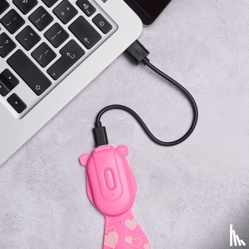  - Flexilight Rechargeable Pals Bear