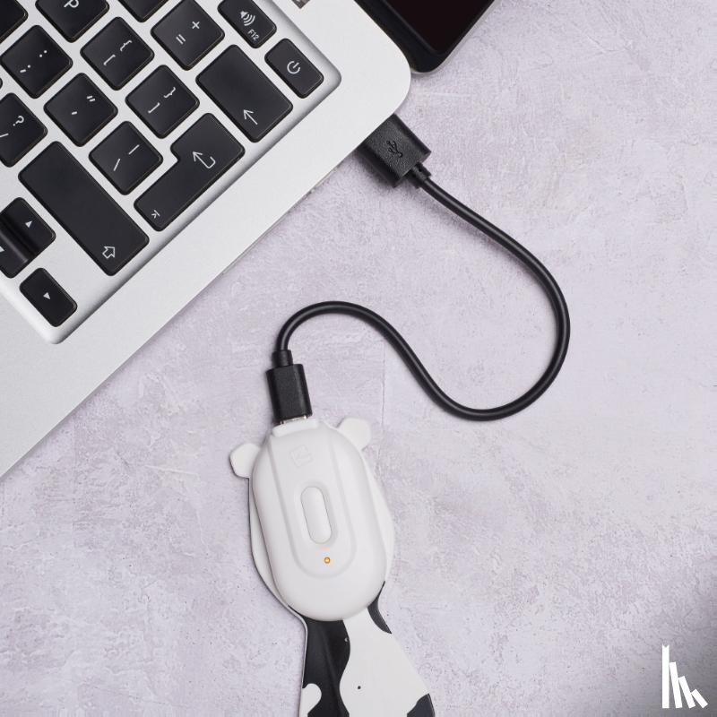  - Flexilight Rechargeable Pals Cow