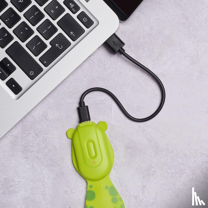  - Flexilight Rechargeable Pals Frog