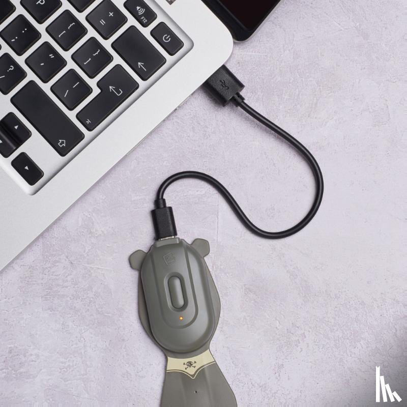  - Flexilight Rechargeable Pals Pirate