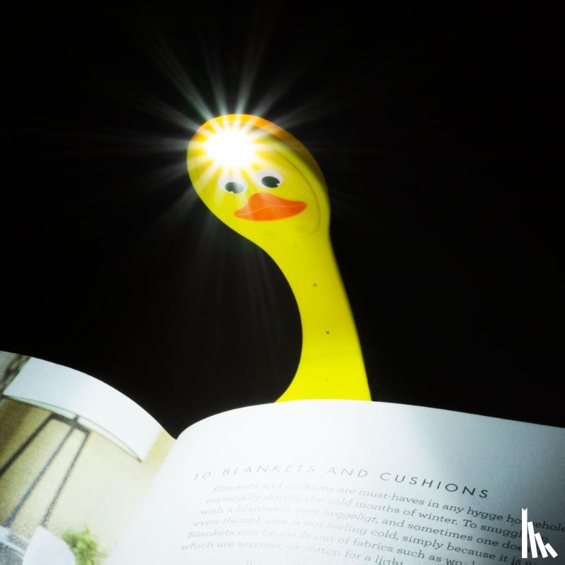  - Flexilight duck