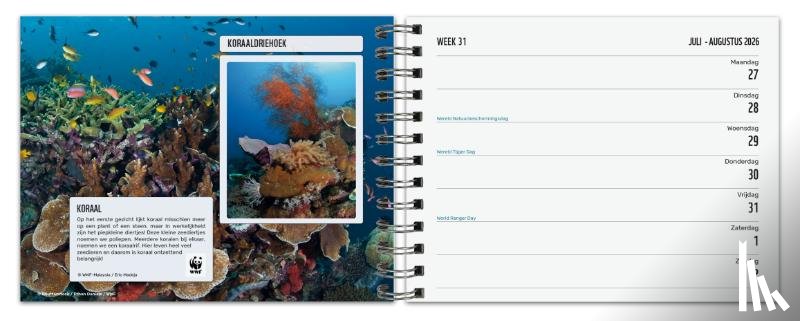  - WNF weekagenda 2026