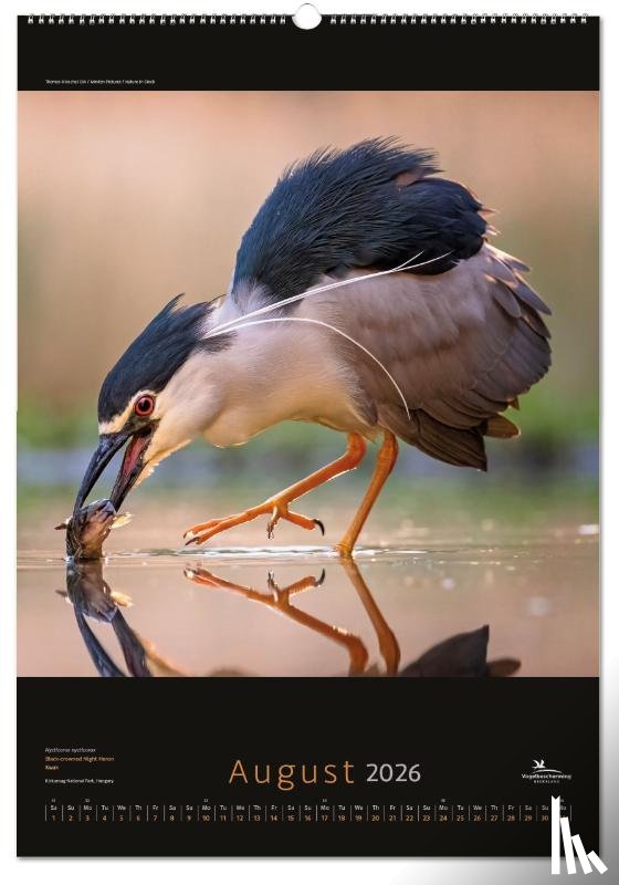  - Birds posterkalender 2026, Vogelbescherming