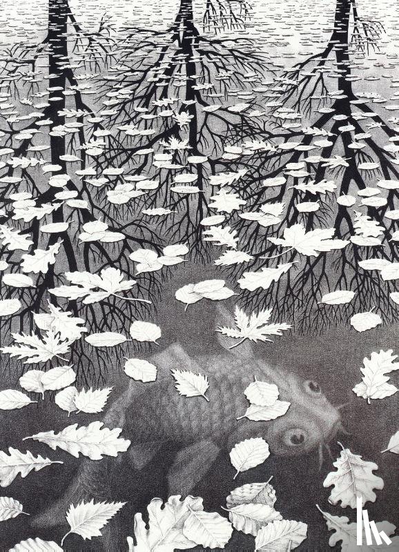  - Puzzel 1.000 st Three Worlds M.C. Escher