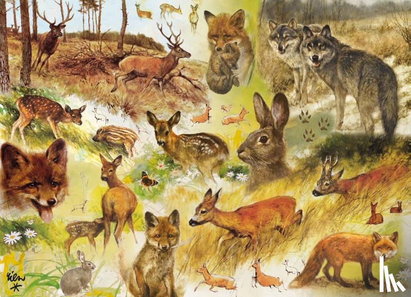  - Puzzel 1.000 st Drawn to Nature Rien Poortvliet