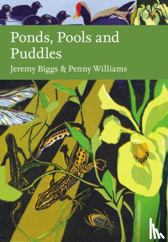 Biggs, Jeremy, Williams, Penny - Ponds, Pools and Puddles