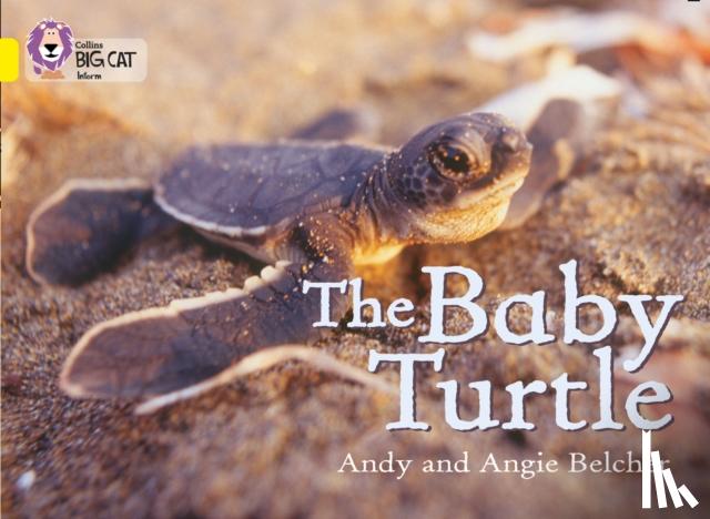 Belcher, Andy - Baby Turtle