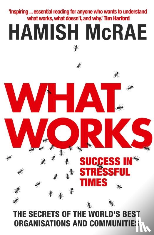 Mcrae, Hamish - What Works