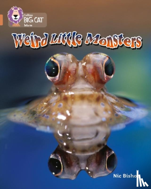Bishop, Nic - Weird Little Monsters