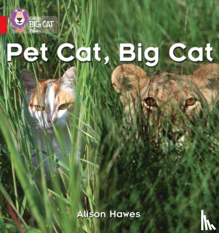 Hawes, Alison - Pet Cat, Big Cat