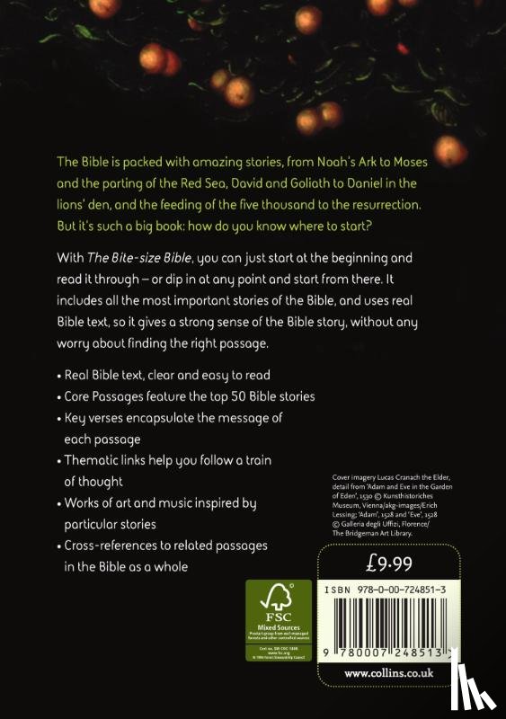  - The Bite-size Bible