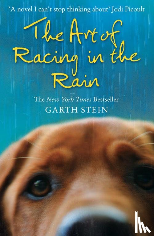 Stein, Garth - The Art of Racing in the Rain
