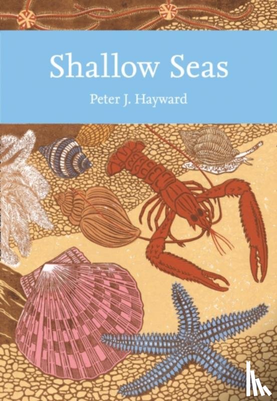 Hayward, Peter - Shallow Seas