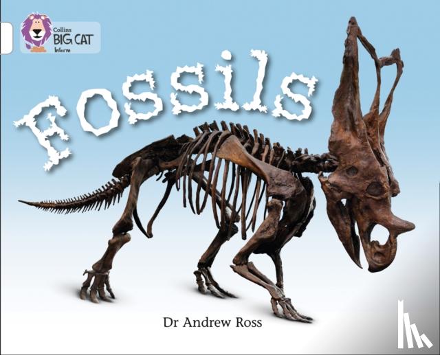 Ross, Dr Andrew - Fossils