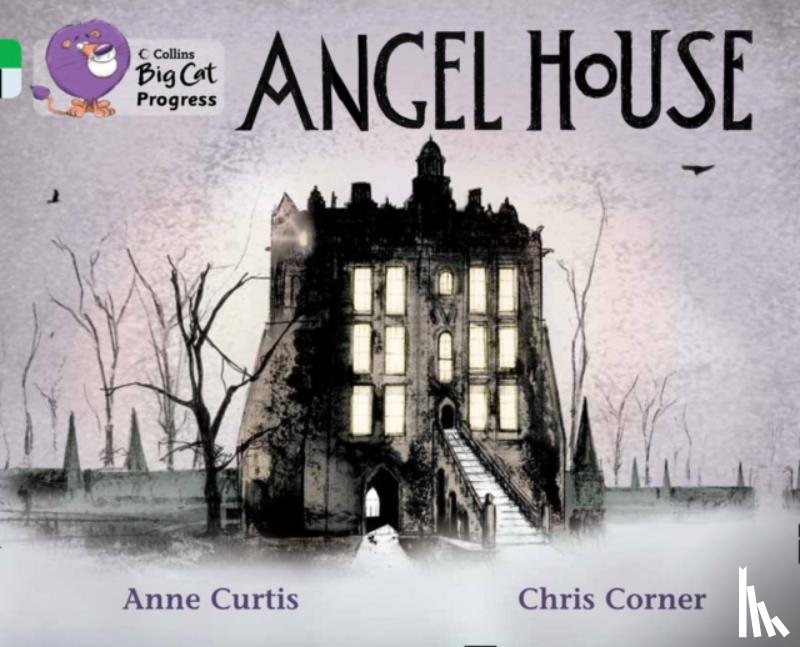 Curtis, Anne - Angel House