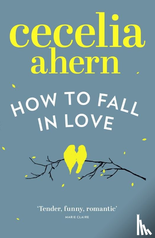 Ahern, Cecelia - How to Fall in Love
