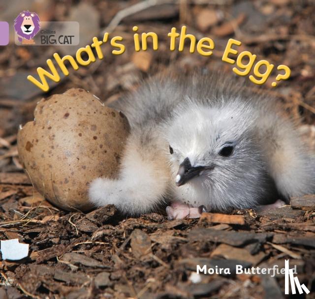 Butterfield, Moira - What’s in the Egg?