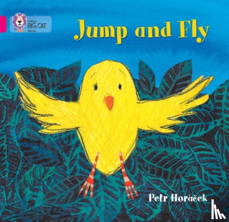 Horacek, Petr - Jump and Fly