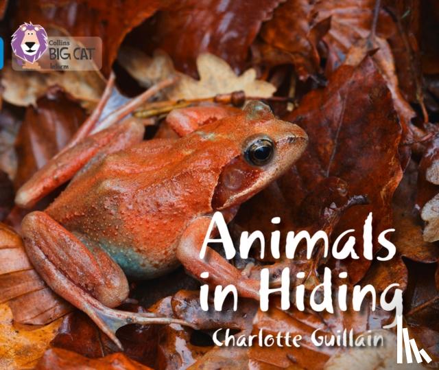 Guillain, Charlotte - Animals in Hiding