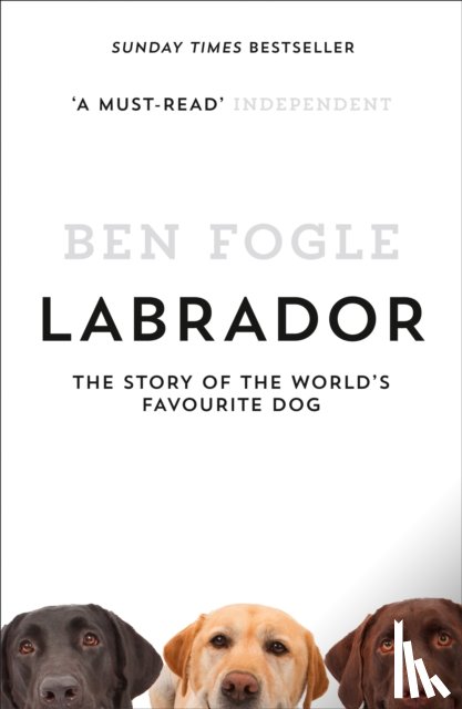 Fogle, Ben - Labrador
