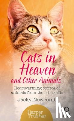 Newcomb, Jacky - Cats in Heaven