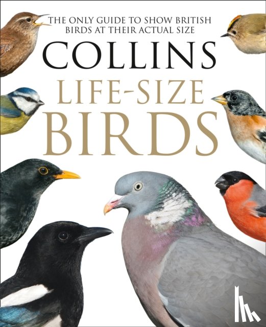 Sterry, Paul, Read, Rob - Collins Life-Size Birds