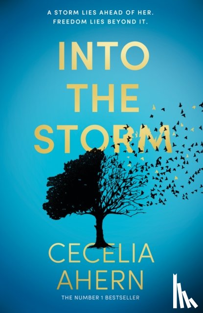 Ahern, Cecelia - Into the Storm