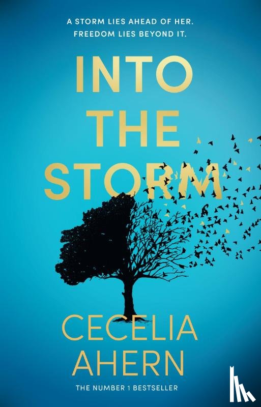 Ahern, Cecelia - Into the Storm