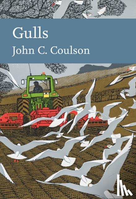Coulson, Professor John C. - Gulls
