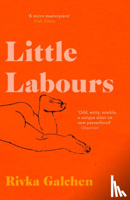 Galchen, Rivka - Little Labours