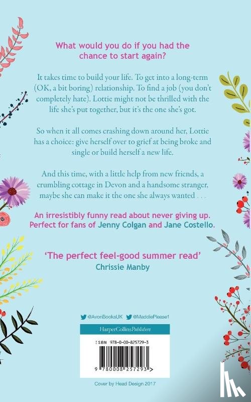 Please, Maddie - The Summer of Second Chances