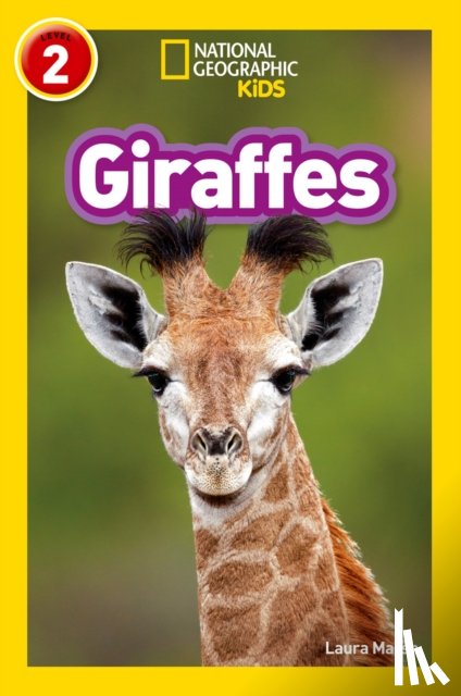 Marsh, Laura, National Geographic Kids - Giraffes