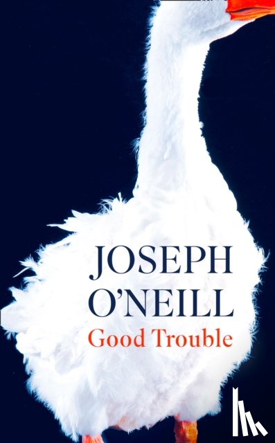 O’Neill, Joseph - Good Trouble