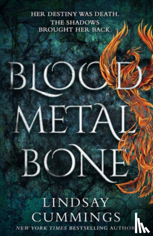 Cummings, Lindsay - Blood Metal Bone