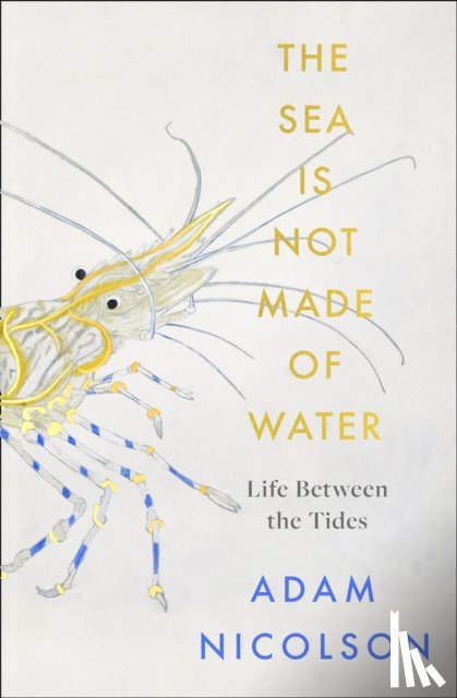 Nicolson, Adam - The Sea is Not Made of Water