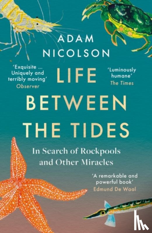 Nicolson, Adam - Life Between the Tides