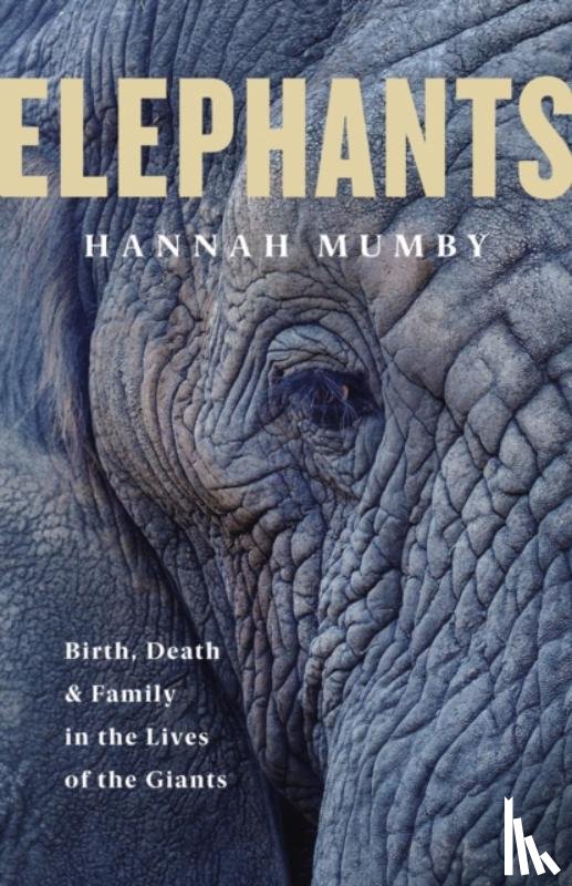 Mumby, Hannah - The Secret Lives of Elephants