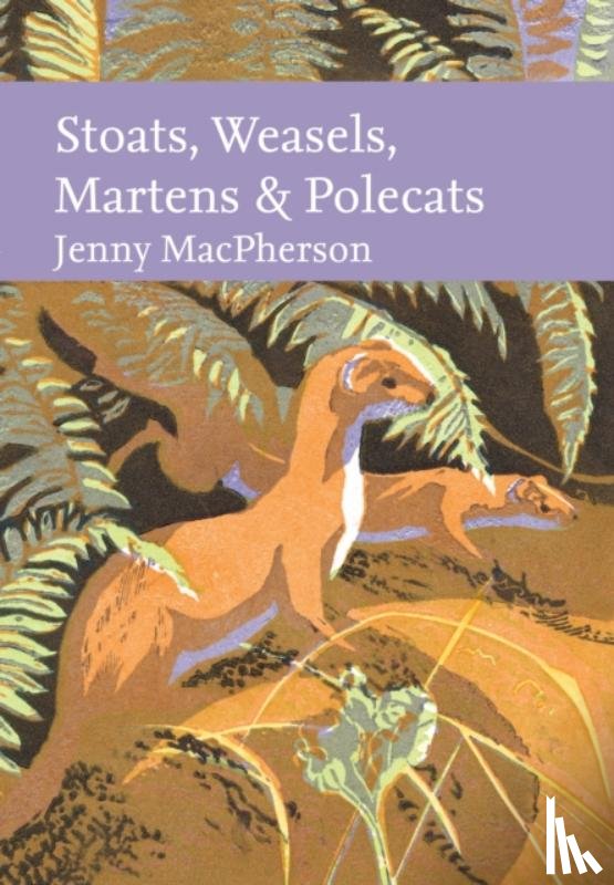 MacPherson, Jenny - Stoats, Weasels, Martens and Polecats