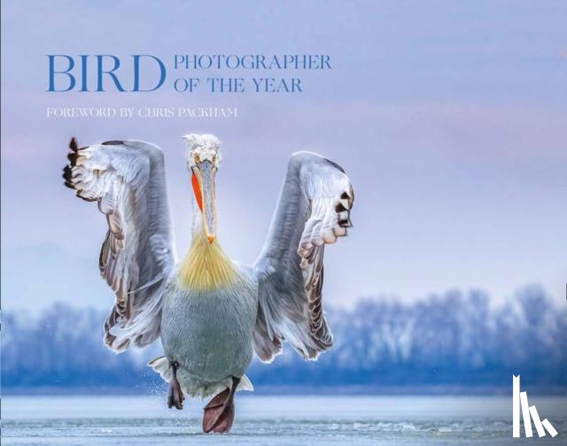 Bird Photographer of the Year - Bird Photographer of the Year