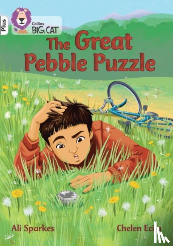 Sparkes, Ali - The Great Pebble Puzzle