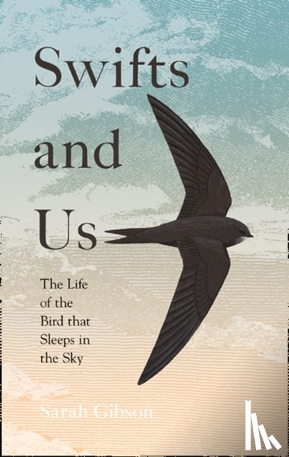 Gibson, Sarah - Swifts and Us