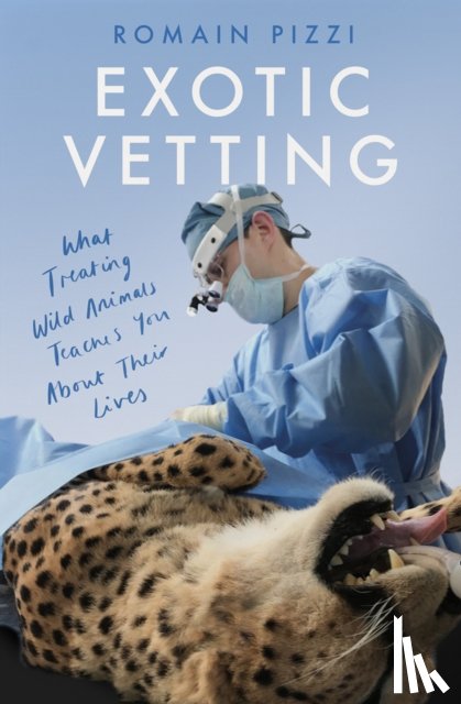 Pizzi, Romain - Exotic Vetting