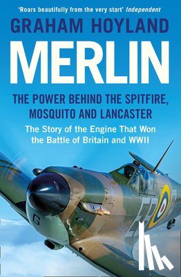 Hoyland, Graham - Merlin