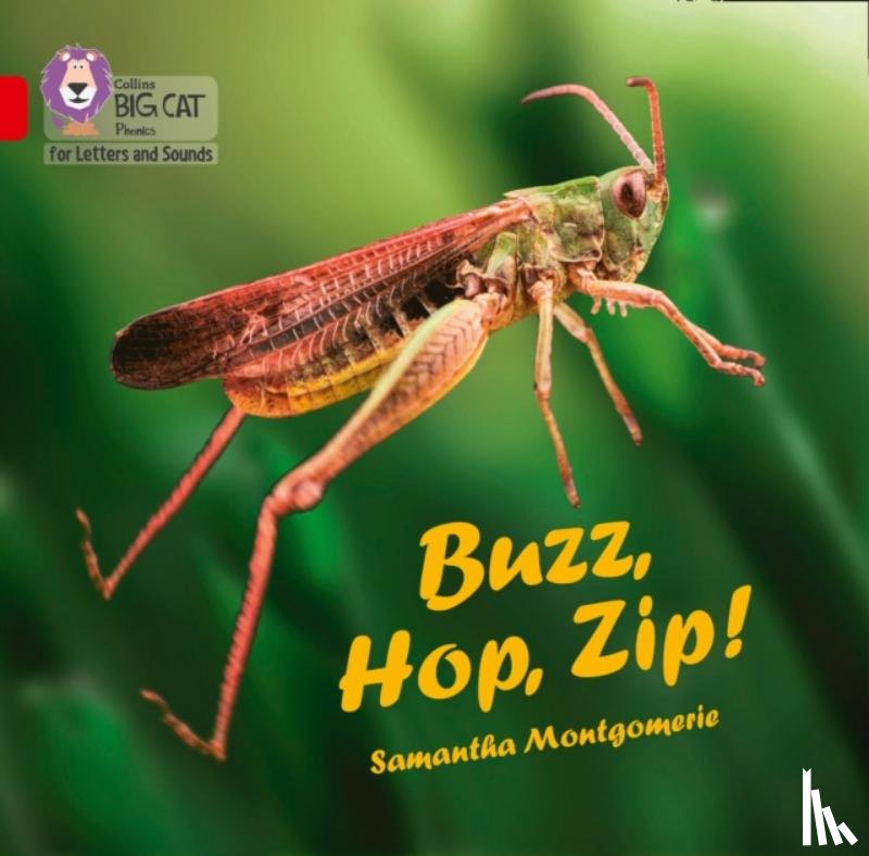 Samantha Montgomerie - Buzz, Hop, Zip! Big Book