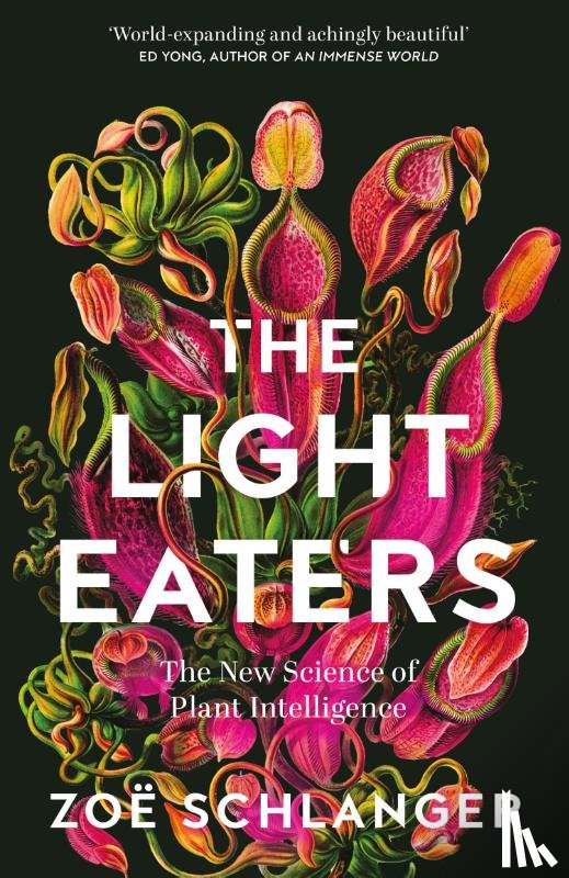 Schlanger, Zoe - The Light Eaters