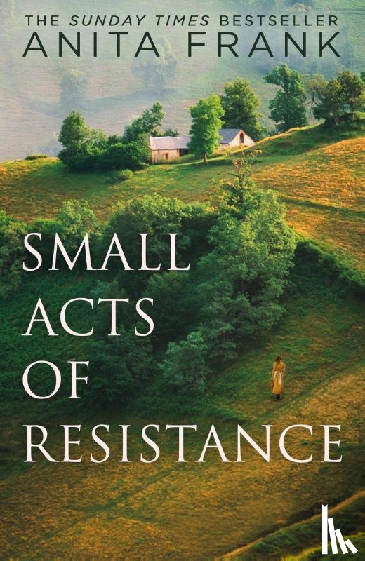 Frank, Anita - Small Acts of Resistance