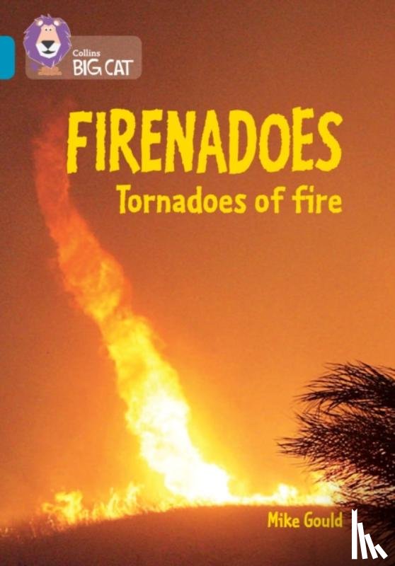 Gould, Mike - Firenadoes: Tornadoes of fire
