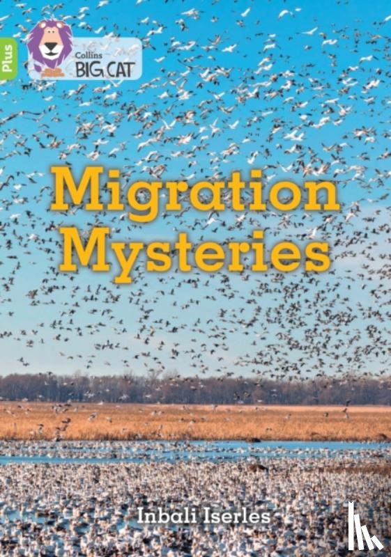 Iserles, Inbali - Migration Mysteries