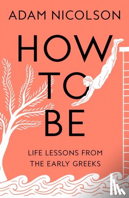 Nicolson, Adam - How to Be